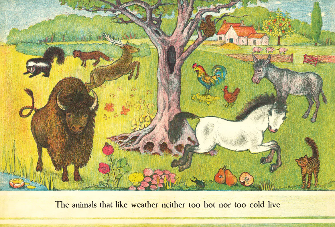 D'Aulaires' Book of Animals - Image 4