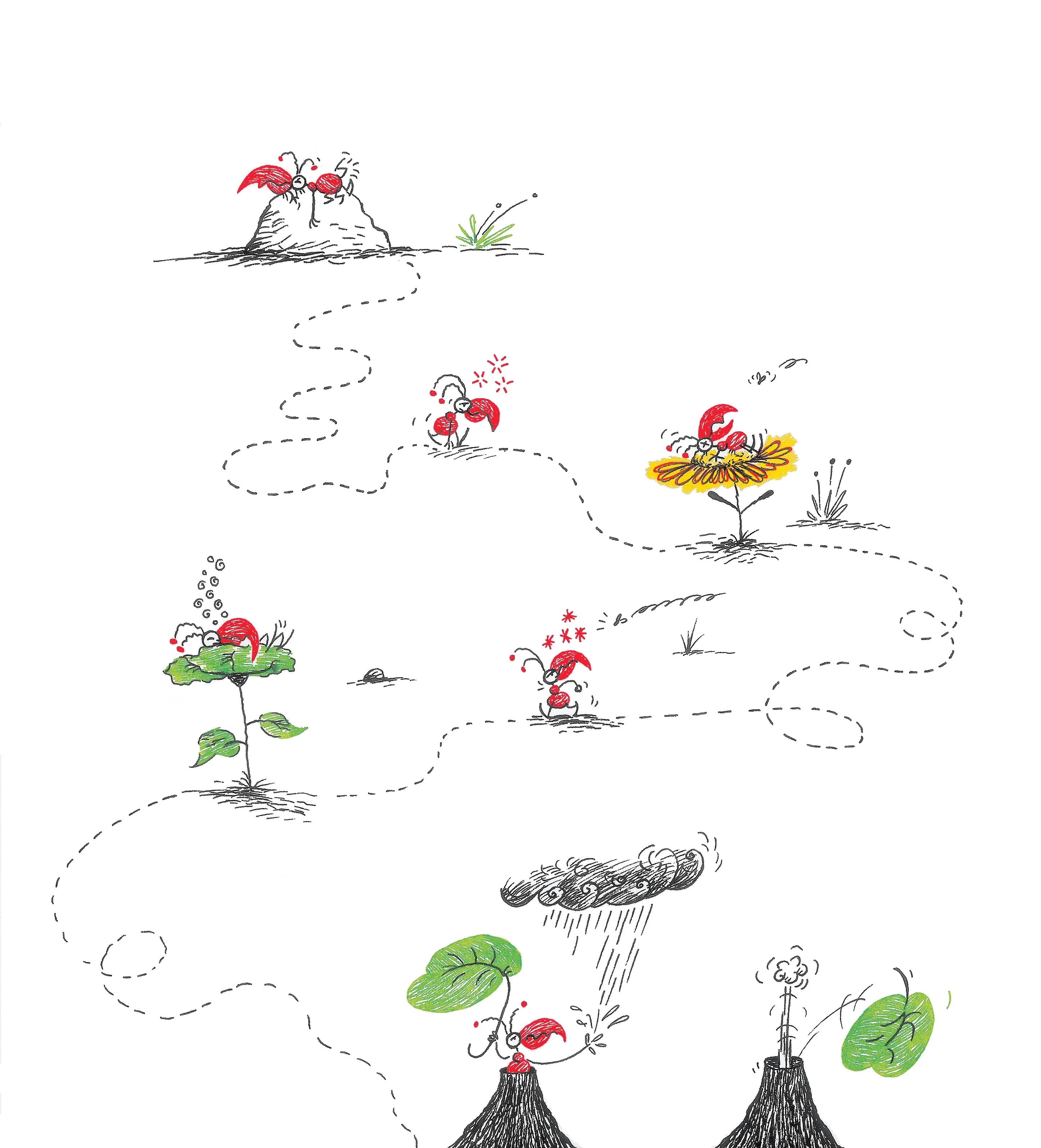Juan Hormiga - Image 2
