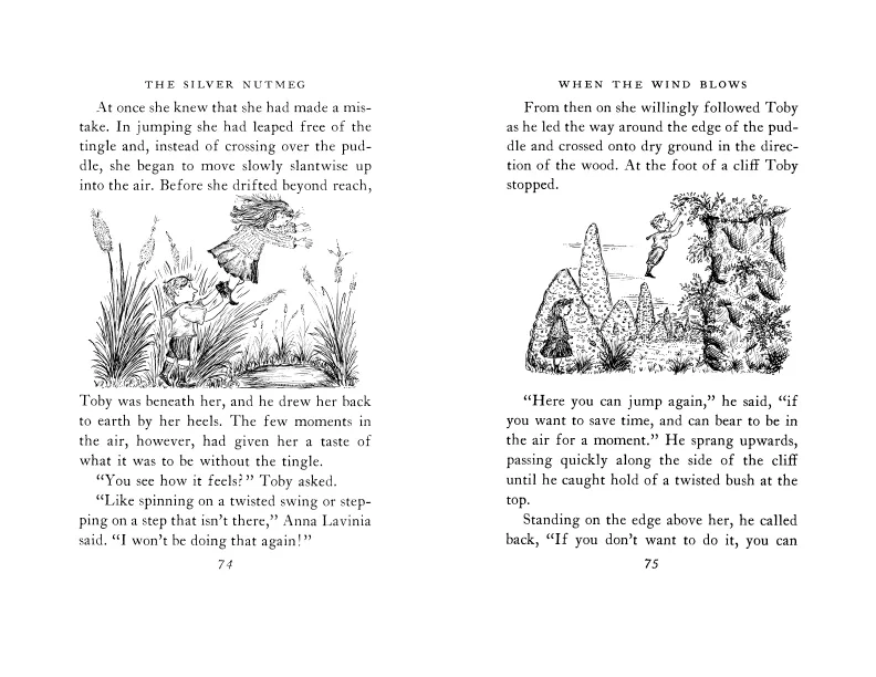 The Silver Nutmeg - Image 4